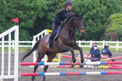 ビギナーズホースショー千葉地区大会2026障害馬術」に出場しました